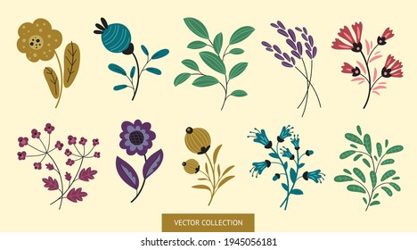Flores, planta - set, colección. Ánimo de primavera. 
Colección vectorial de flores de verano de estilo plano 
