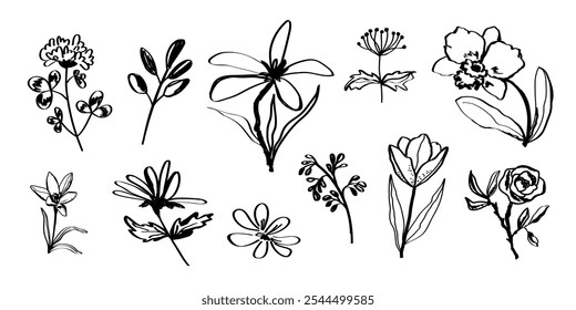 Flores plantas abstractas dibujadas a mano negro trazo de pincel. Conjunto botánico de bocetos de siluetas de plantas de flores. Dibujo primitivo a mano alzada de Elementos florales para el diseño de arte.