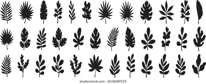 Flowers and plants, floral botanic design templates