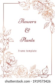 Flowers and plants frame template vectors illustration