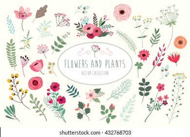 Flowers and plants. Hand drawn floral collection with flowers and leaves.