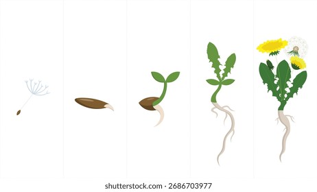 Flowers and plants icon set. Flat design, vector illustration.