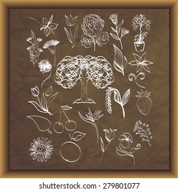 Flowers and plants on aged paper texture with frame. Vector set. 