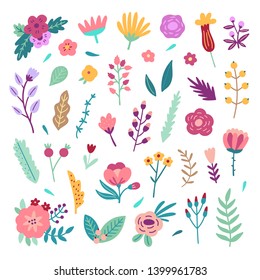 Flowers and plants on white background.Vector blossoms and leaves illustrations