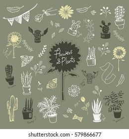Flowers & plants with ornaments hand drawn vector set 
