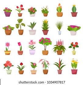 Flowers and plants in pots icons isolated on white background. Home decorative and deciduous plants vector collection