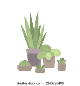 Flowers and plants in pots isolated on white - background with flowerpots for eco-friendly and organic concept in flat vector illustration used for magazine, book, poster, card, web pages.