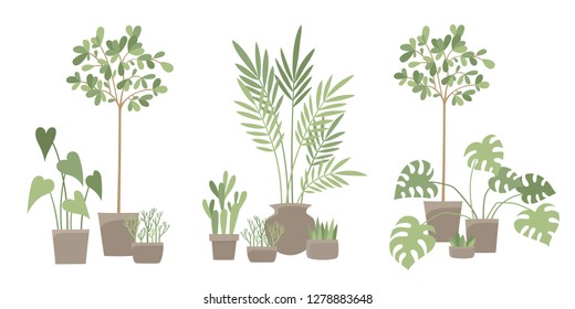 Flowers and plants in pots isolated on white - illustration with monstera, cactus and rubber plant for eco-friendly and organic concept vector illustration used for magazine, poster, card, web pages.