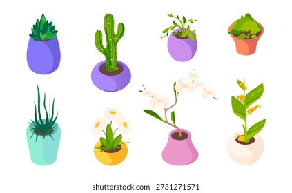 Blumen und Pflanzen in Töpfen. Vektorisometrischer Kaktus und saftige, kamille und blühende Zierpflanzen. Satz botanischer Zusammensetzung. Garten- und Hauspflanzensammlung, Inneneinrichtung und Natur