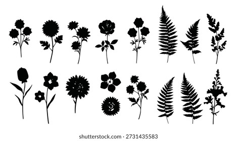 flowers and plants presented as isolated silhouettes