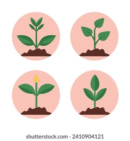 Flowers and plants seedling process flat icons set isolated vector illustration.