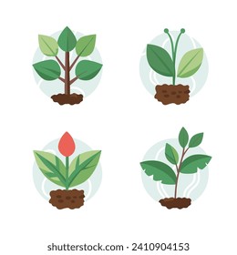 Las flores y plantas procesan los iconos planos de la plántula establecen ilustraciones vectoriales aisladas.