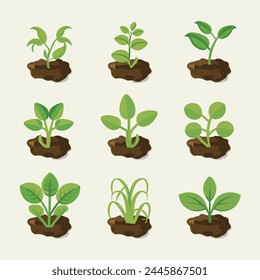 Flowers and plants seedling process flat icons set isolated vector illustration