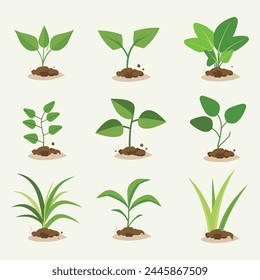 Flowers and plants seedling process flat icons set isolated vector illustration