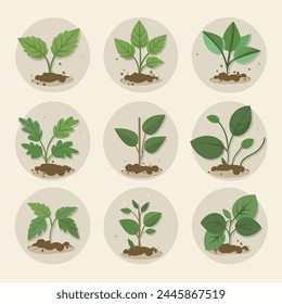 Iconos planos del proceso de la plántula de las flores y de las plantas Ilustración vectorial aislada