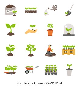 Flowers and plants seedling process flat icons set isolated vector illustration