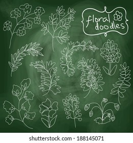 Flowers and plants set on chalkboard background. In the style of children's hand-drawing.