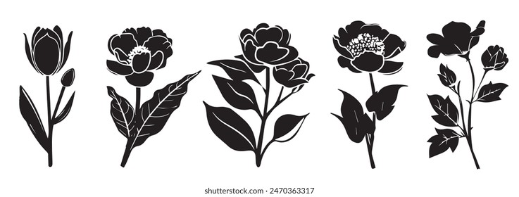 Flowers, plants set silhouette isolated. Collection of various flowers, hibiscus, orchid, daisy, dandelion, heather, rose, crocus, black vector graphic. Wildflower silhouette set.