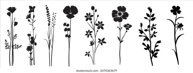 Flowers, plants set silhouette isolated. Collection of various flowers, hibiscus, orchid, daisy, dandelion, heather, rose, crocus, black vector graphic. Wildflower silhouette set.