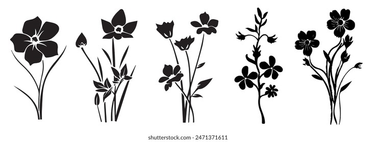 Flowers, plants set silhouette isolated. Collection of various flowers, hibiscus, orchid, daisy, dandelion, heather, rose, crocus, black vector graphic. Wildflower silhouette set.