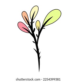 Blumen oder Pflanzen eignen sich für die Dekoration Ihrer Arbeit