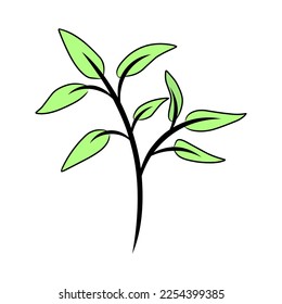 Flowers or plants are suitable for decorating your work