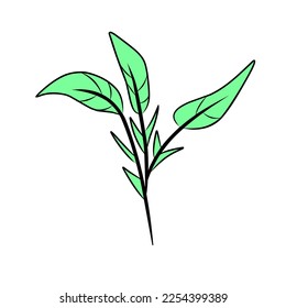 Flores o plantas son adecuadas para decorar tu trabajo