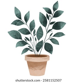 Flowers and plants Vector,  House plants in pots. Potted plants for home. Vector illustration with white isolated background, Vector illustration, House plants and flowers in pot,  Houseplants, flower