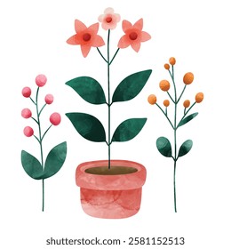 Flowers and plants Vector,  House plants in pots. Potted plants for home. Vector illustration with white isolated background, Vector illustration, House plants and flowers in pot,  Houseplants, flower