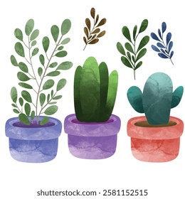 Flowers and plants Vector,  House plants in pots. Potted plants for home. Vector illustration with white isolated background, Vector illustration, House plants and flowers in pot,  Houseplants, flower