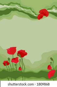 Flowers of poppy, color vector background