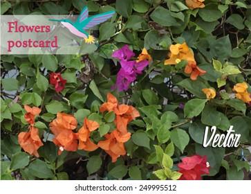 flowers postcard. Colors