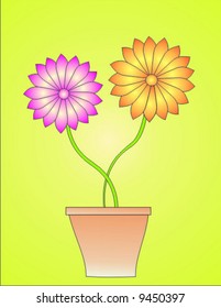 Flowers in a pot.