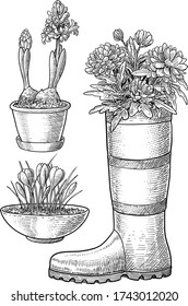 Flowers in pot and boot illustration, drawing, engraving, ink, line art, vector
