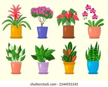 Flowers in pot. Botanical home decoration flowers and leaves recent vector nature illustrations