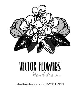flowers pot bouquet with leaves t shirt print style , vector illustration black lines contour isolated on white