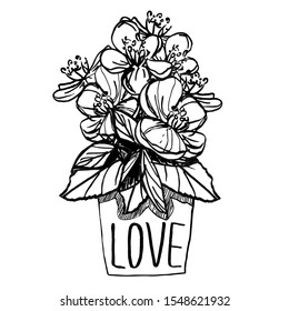 flowers pot bouquet with leaves t shirt print style , vector illustration black lines contour isolated on white