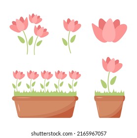 Flowers in pot. Decorative colored plants grow at home in funny pots. Vector cartoon illustrations isolated. Flowerpot and houseplant, rose and poppy flower
