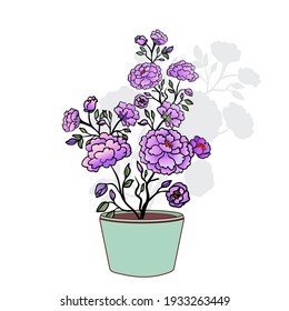 Flowers in a pot. Decorative violet flowers.
