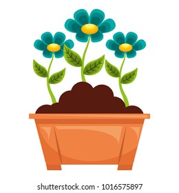 flowers in pot gardening spring decoration