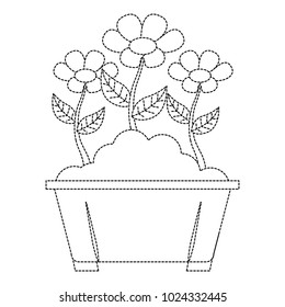 flowers in pot gardening spring decoration