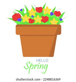 Flowers in pot. Hello spring card square banner. Vector illustration.