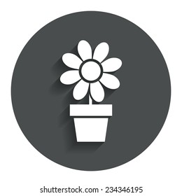 Flowers in pot icon. Bouquet of flowers with petals. Macro sign. Gray flat button with shadow. Modern UI website navigation. Vector