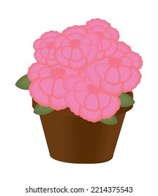 flowers in pot icon isolated