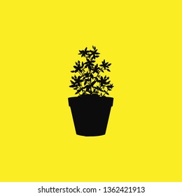 flowers in a pot icon vector