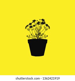 flowers in a pot icon vector