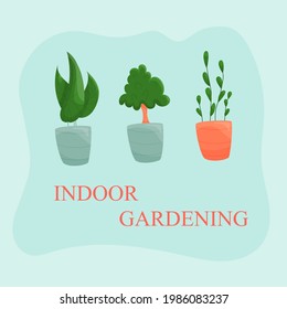 Flowers in pot icons. Indoor gardeninng concept. Vector illustration.