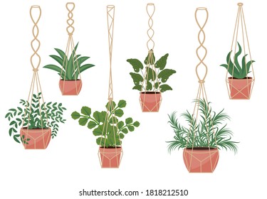 Flowers In A Pot Macrame Pots, Modern Scandinavian Style, Interior Decor. Hanging Plants Set. Vector Illustration