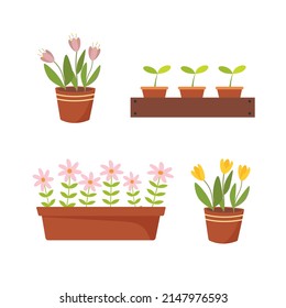 Flowers pot. Nature cartoon vector illustration of flowers and leaves beautiful collection. Blossom plant, botanical flowerpot