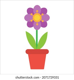 flowers in pot nature plant